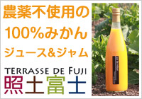 �Ɠy�x�m�i�e���X�E�h�E�t�W�j